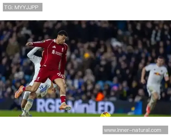 世界杯精彩对决那不勒斯大胜利物浦红牌事件引发热议与转会传闻