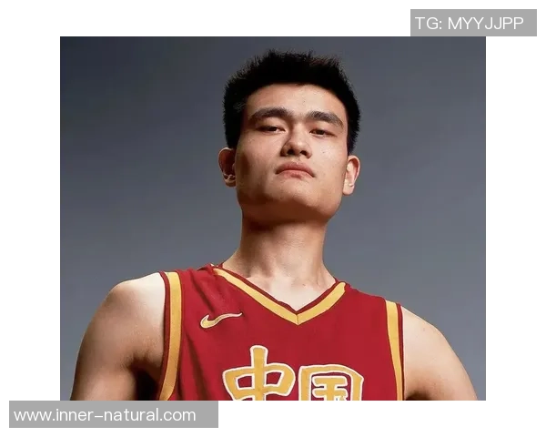 姚明形象图解析：从篮球巨星到文化符号的多重身份探索