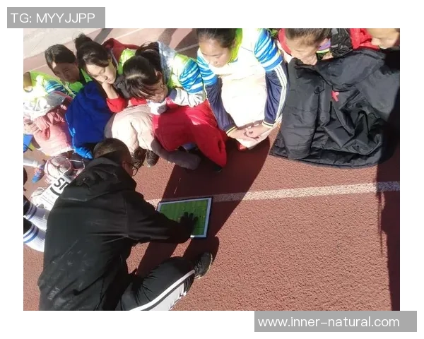 足球的灵魂之旅：深入探讨北京足球队的战术与精神内涵