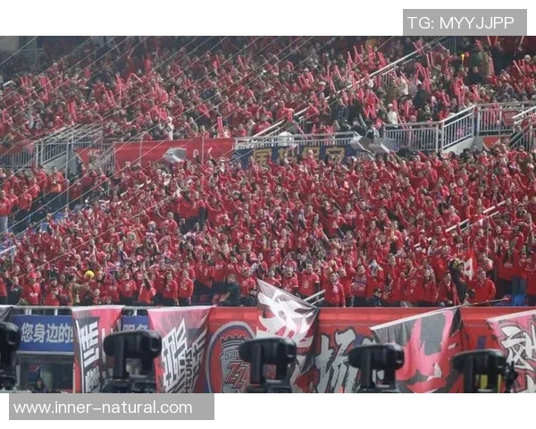 国王杯惊现冷门本菲卡与多特蒙德战平后点球大战引发全场沸腾