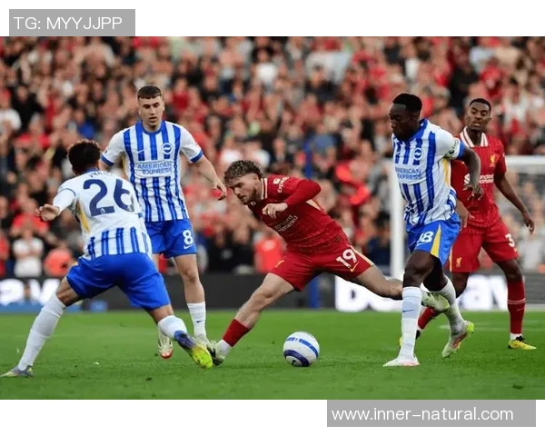 德甲激战:AC米兰狂胜利物浦红牌事件引发全场热议 德甲激战:AC米兰狂胜利物浦红牌事件引发全场热议