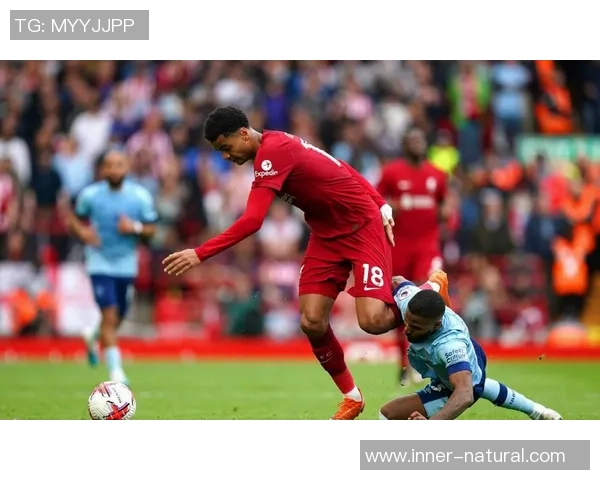 西甲精彩对决利物浦大胜波尔图绝杀瞬间引发全场狂欢 西甲精彩对决利物浦大胜波尔图绝杀瞬间引发全场狂欢