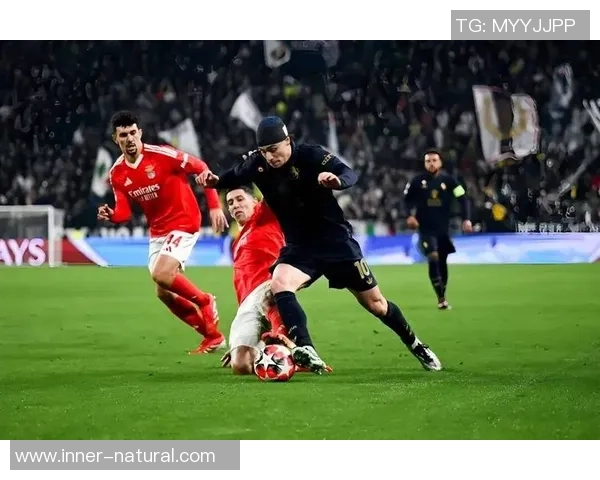 足总杯精彩对决利物浦轻取本菲卡晋级之路畅通无阻 足总杯精彩对决利物浦轻取本菲卡晋级之路畅通无阻